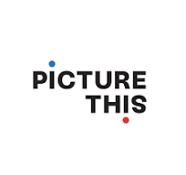 Picture This Balloons